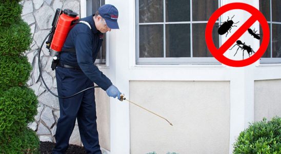Sason Akrep İlaçlama böcek ilaçlama ve haşere kontrolü — ilaclama-tr.com